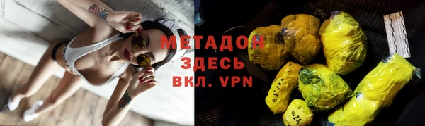 индика Алзамай