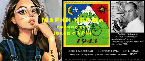 индика Алзамай
