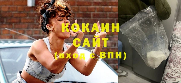 индика Алзамай