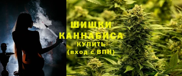 бошки Алексин