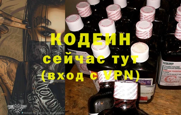 ГАЛЛЮЦИНОГЕННЫЕ ГРИБЫ Рославль