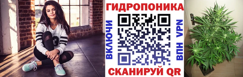 Каннабис индика где найти наркотики нарко площадка наркотические препараты Новоульяновск